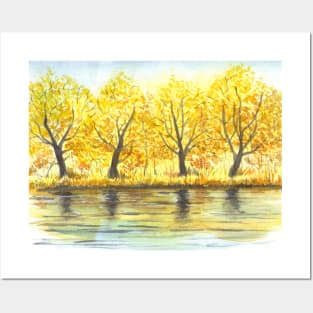 Autumn trees Posters and Art